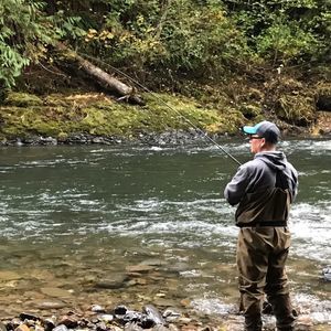 Meet your Posher, Finn